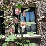 Cavenes Del Cabaco 2*