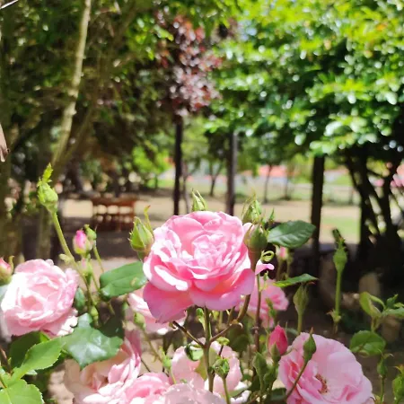 호텔 Cavenes Del Cabaco