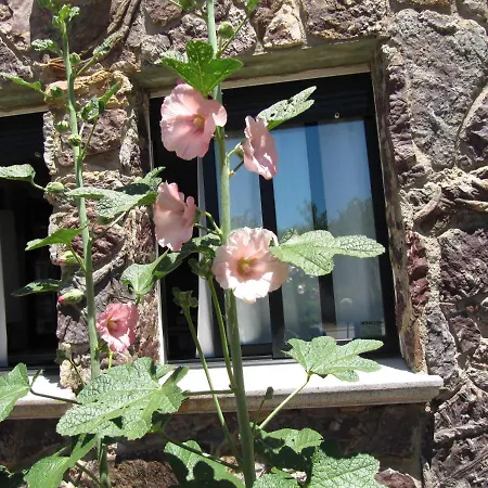 Restaurante Cavenes Del Cabaco 2*