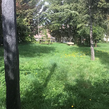 Cavenes Del Cabaco 호텔 2*