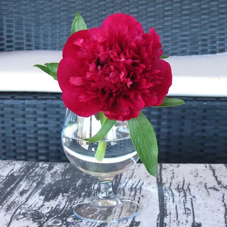 Cavenes Del Cabaco 2*