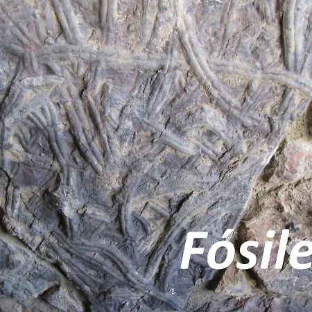 호텔 Cavenes Del Cabaco El Cabaco