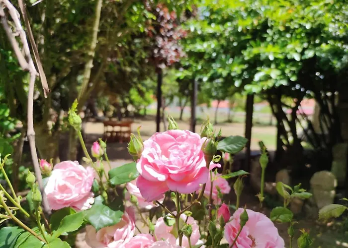 מלון Cavenes Del Cabaco