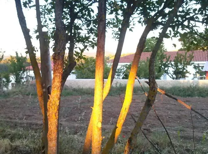 Cavenes Del Cabaco מלון El Cabaco