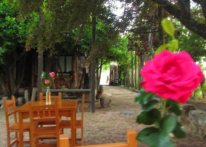 Cavenes Del Cabaco El Cabaco