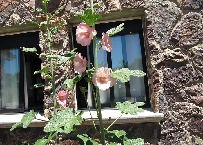 Cavenes Del Cabaco 2*