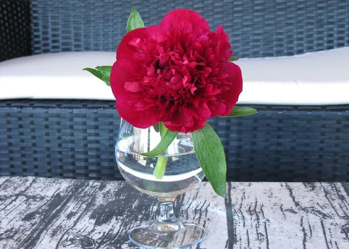 Cavenes Del Cabaco 2*